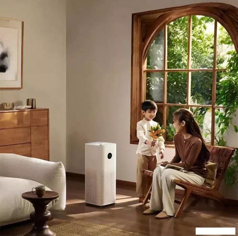 Очиститель воздуха Xiaomi Mijia Air Purifier 5S AC-M24-SC (с переходником на евровилку)