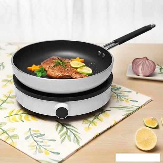 Настольная плита Xiaomi Induction Cooker Lite DCL002CM-1 (евровилка)