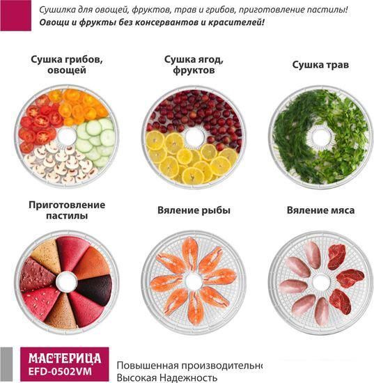 Сушилка для овощей и фруктов Мастерица EFD-0502VM (5 поддонов и 1 поддон для пастилы)