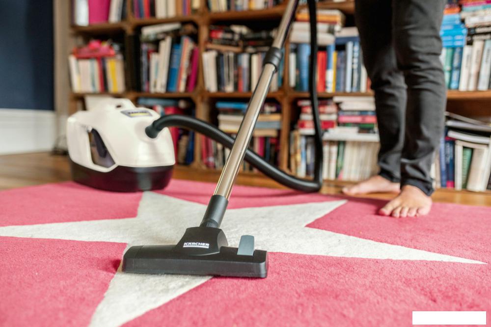 Пылесос Karcher DS 6 Plus 1.195-252.0