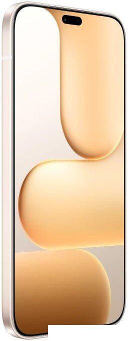 Телефон HONOR 600 Lite 8GB/256GB международная версия (пустынное золото)