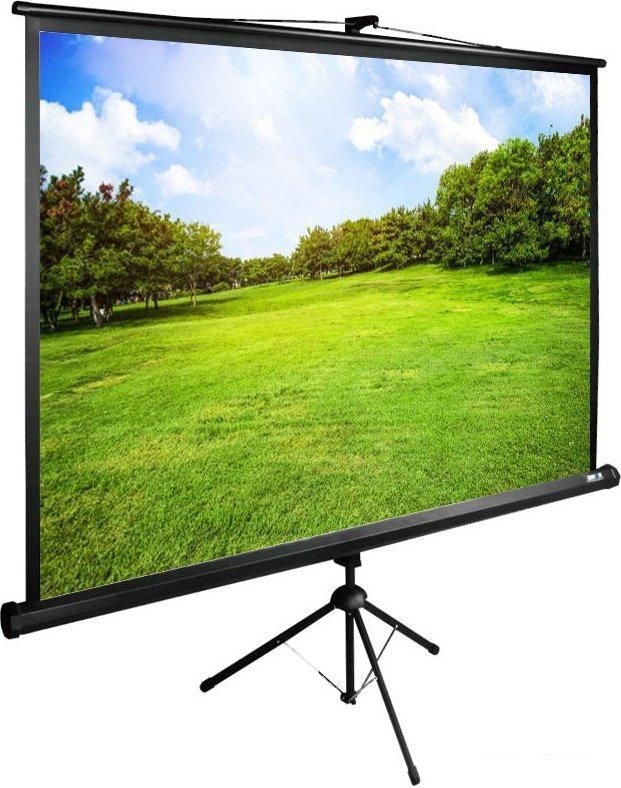 Проекционный экран CACTUS TriExpert 160x160 CS-PSTE-160x160-BK