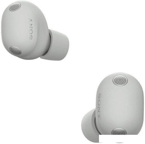 Наушники Sony WF-1000XM6 (серый)