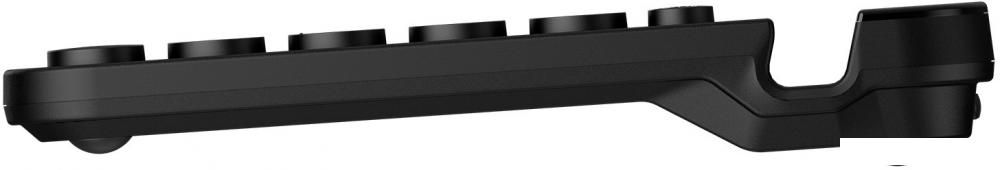 Клавиатура A4Tech Fstyler FBK30 (черный)