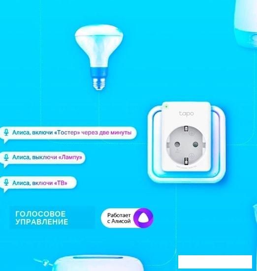 Умная розетка TP-Link Tapo P100