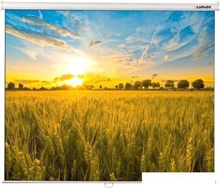 Проекционный экран Lumien Eco Picture (LEP-100101)