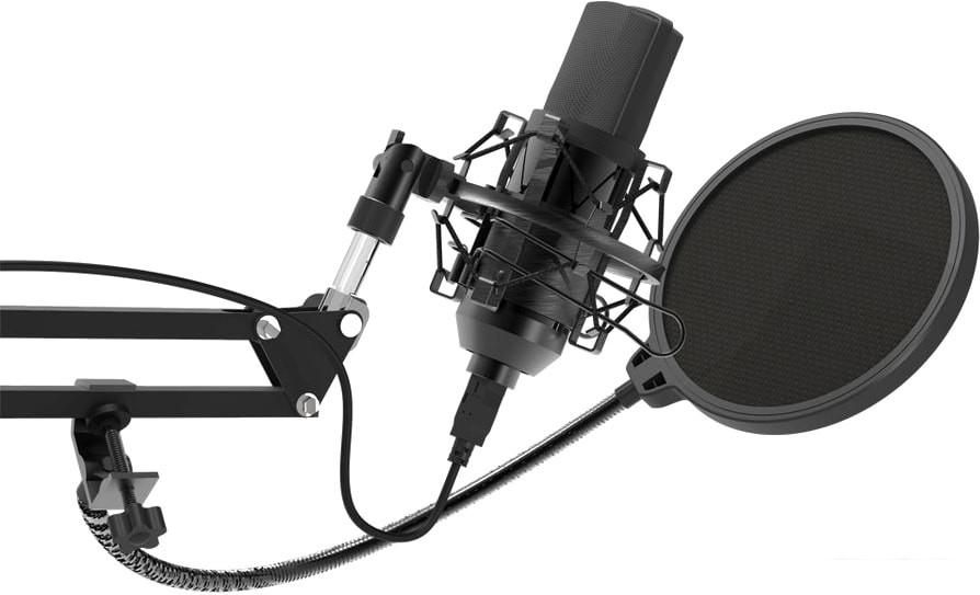 Проводной микрофон Ritmix RDM-169