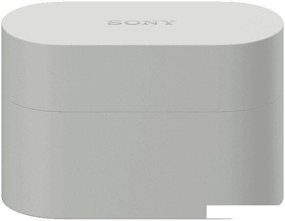 Наушники Sony WF-1000XM6 (серый)