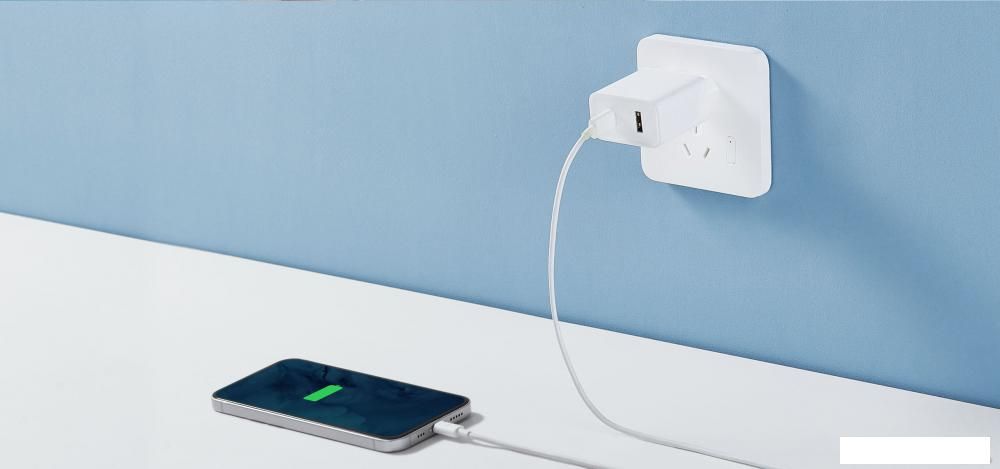 Сетевое зарядное Xiaomi Mi 33W Wall Charger AD332EU (международная версия)