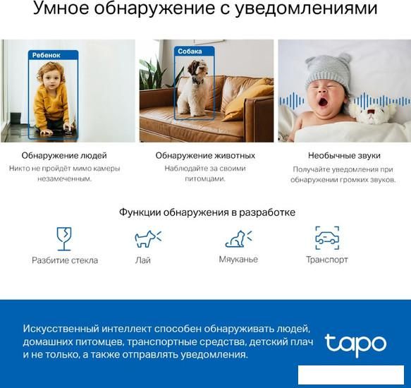 IP-камера TP-Link Tapo C220