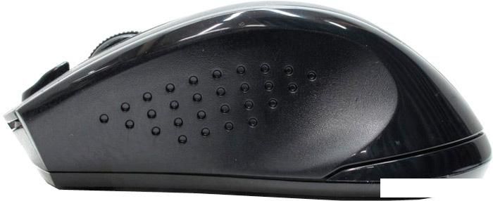 Мышь A4Tech G9-500F (черный)