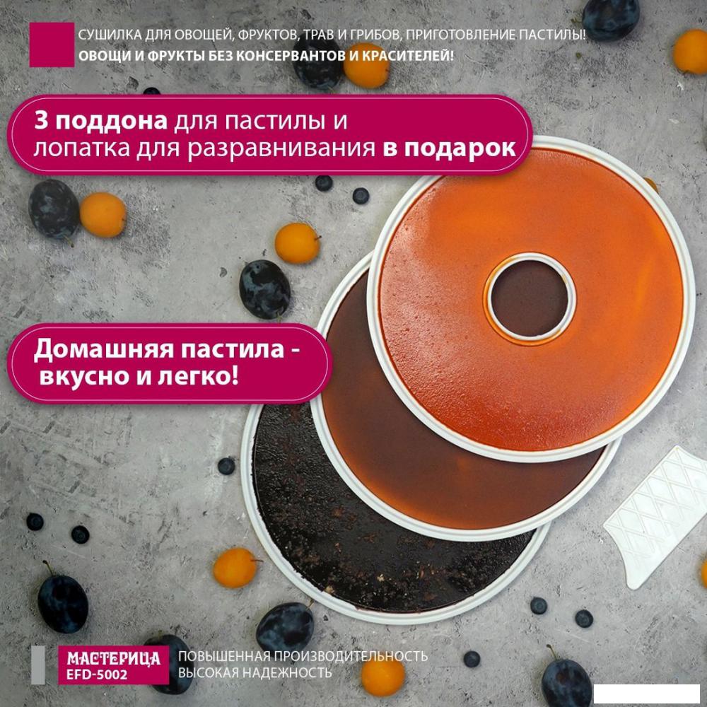 Сушилка для овощей и фруктов Мастерица EFD-5002