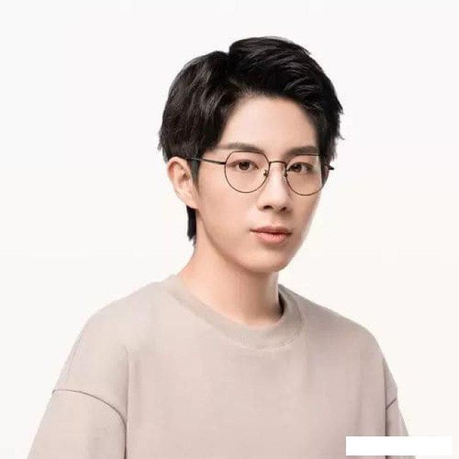 Компьютерные очки Xiaomi Mijia Anti-Blue Light Glasses HMJ02RM (черный)