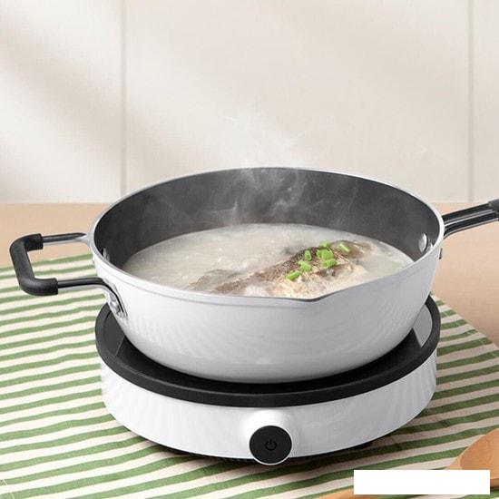 Настольная плита Xiaomi Induction Cooker Lite DCL002CM-1 (евровилка)