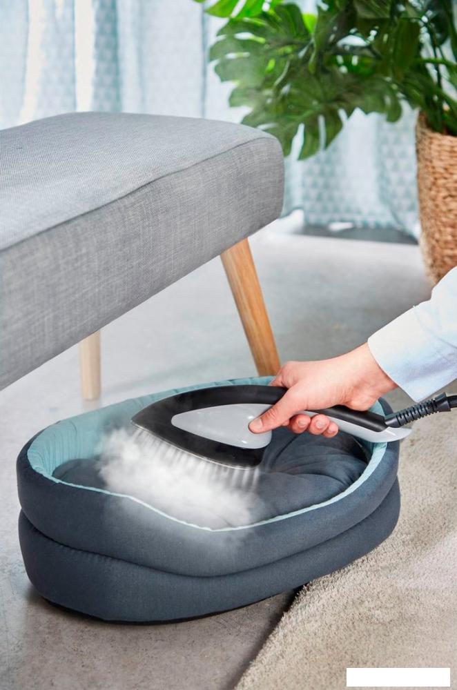 Отпариватель Tefal Ixeo+ QT1510E0