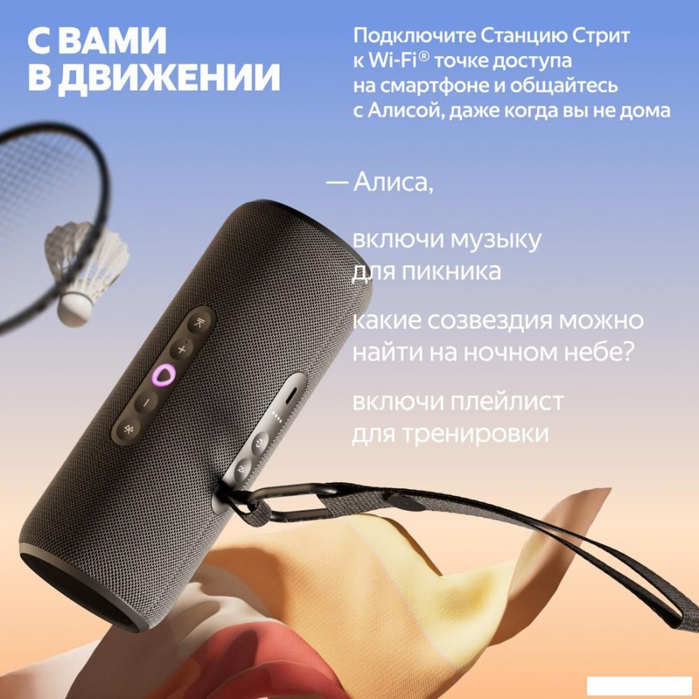 Умная колонка Яндекс Станция Стрит (черный)