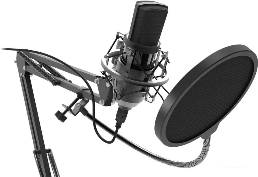 Проводной микрофон Ritmix RDM-169