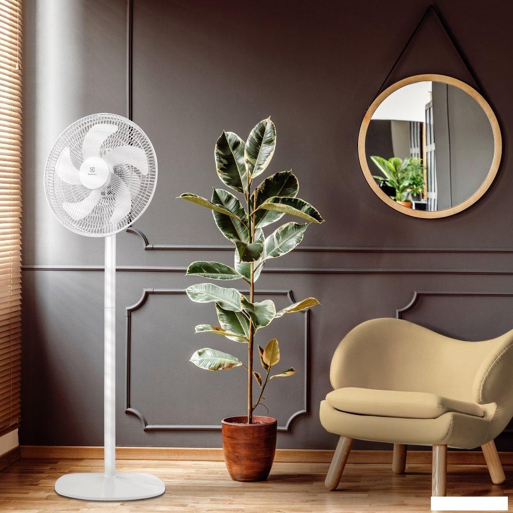 Вентилятор Electrolux EFF-1005