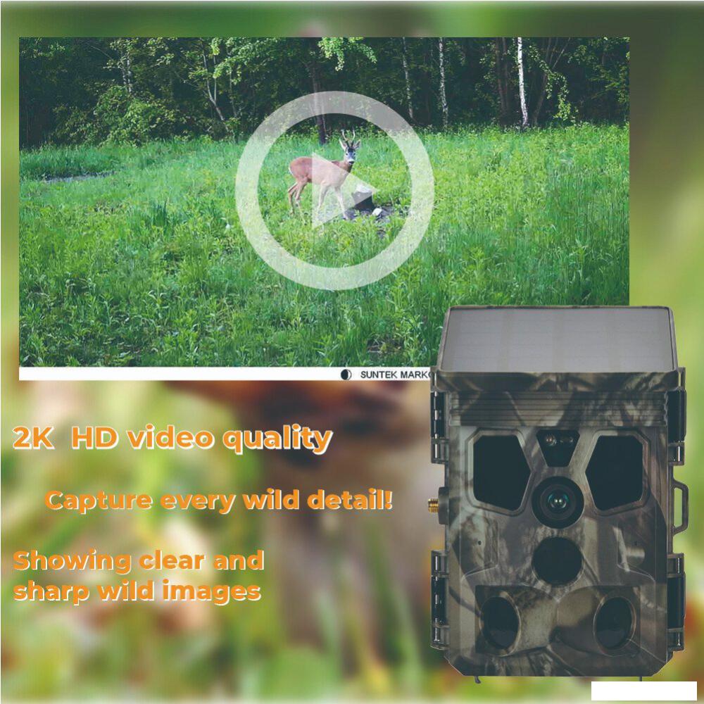 Фотоловушка Suntek HC-603 Pro