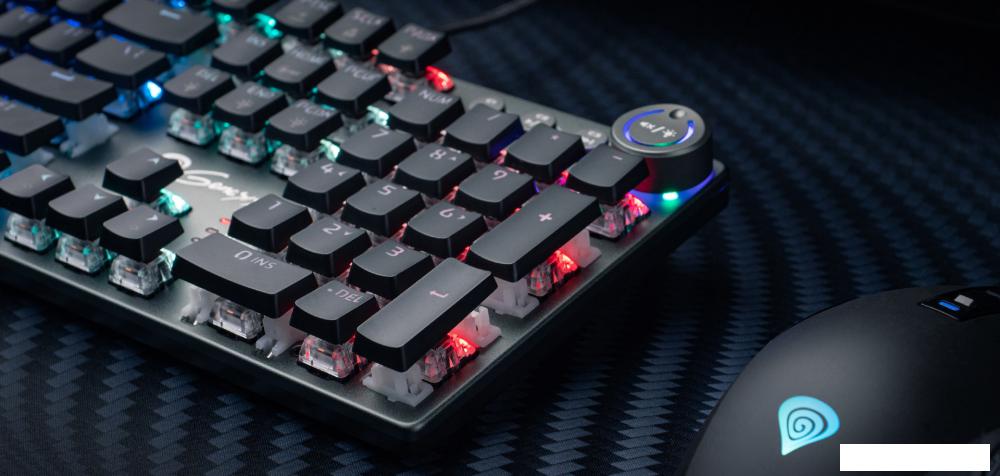 Клавиатура Genesis Thor 400 RGB (нет кириллицы)
