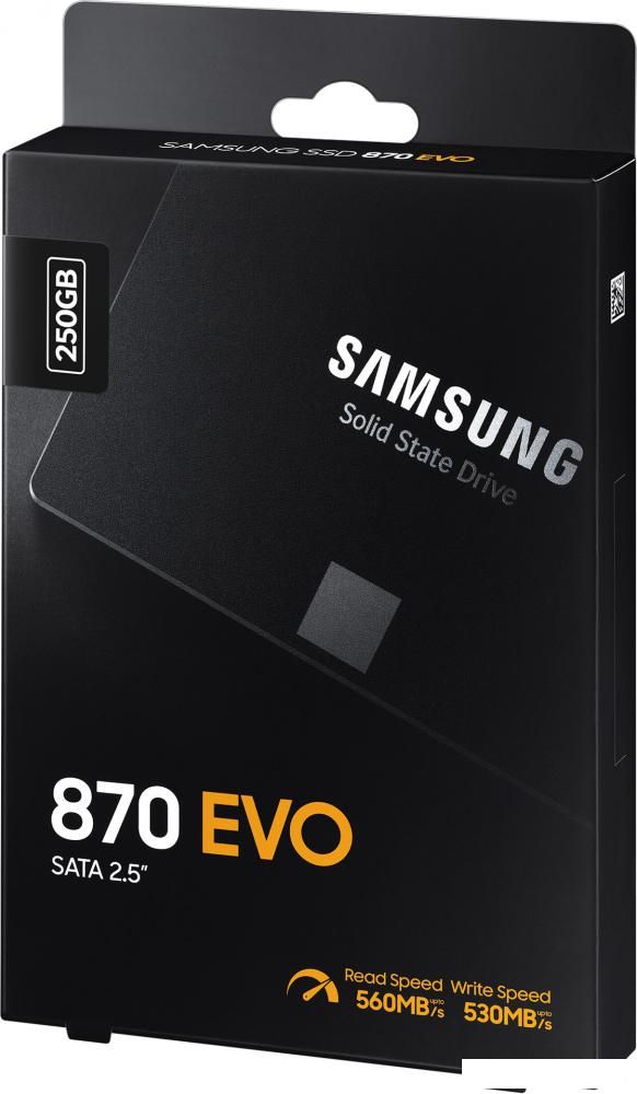 SSD Samsung 870 Evo 250GB MZ-77E250BW