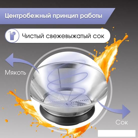 Соковыжималка Zigmund &amp; Shtain EJ-756