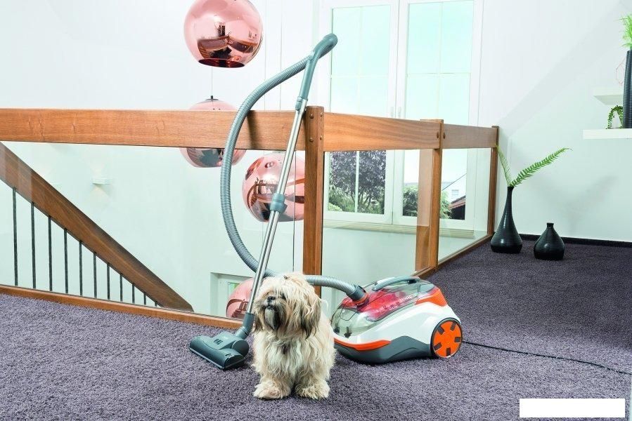 Пылесос Thomas DryBOX+AquaBOX CAT & DOG 786554