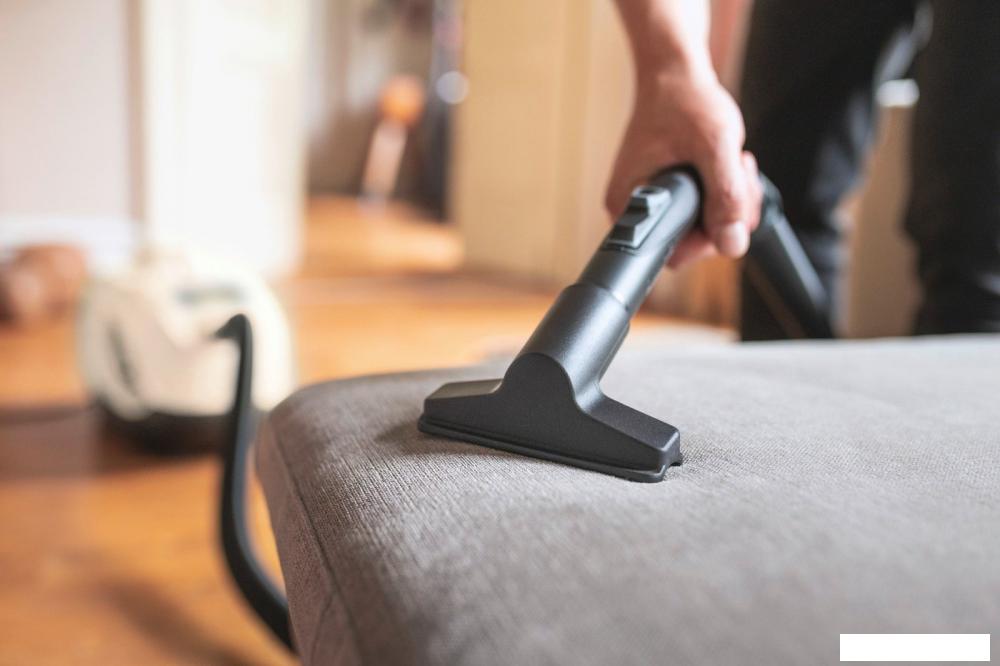 Пылесос Karcher DS 6 Plus 1.195-252.0