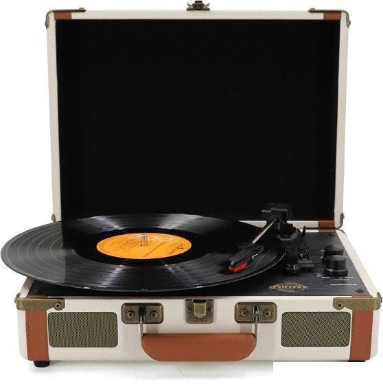 Виниловый проигрыватель Ritmix LP-130B (белый)