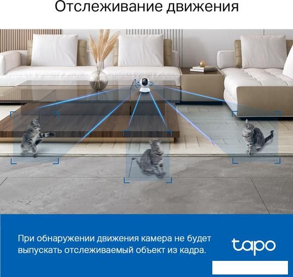 IP-камера TP-Link Tapo C220