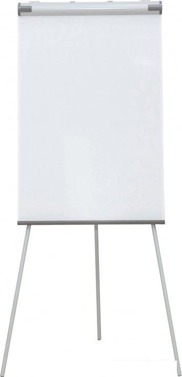 Флипчарт CACTUS CS-FCT-W67x105
