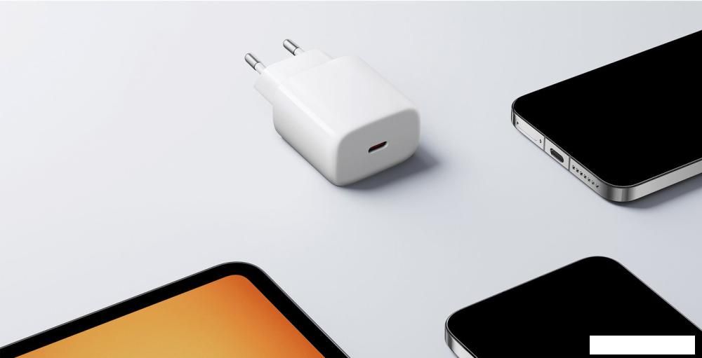 Сетевое зарядное Xiaomi 20W Fast Charging Power Adapter Type-C MDY-20-EG (международная версия)
