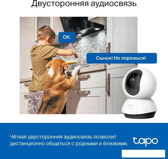 IP-камера TP-Link Tapo C220