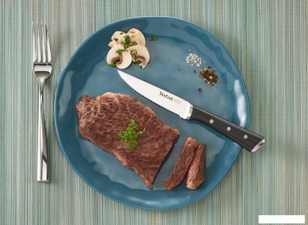 Кухонные ножи, ножницы, овощечистки, точилки Tefal Ice Force K232S414