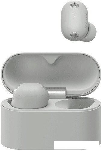Наушники Sony WF-1000XM6 (серый)
