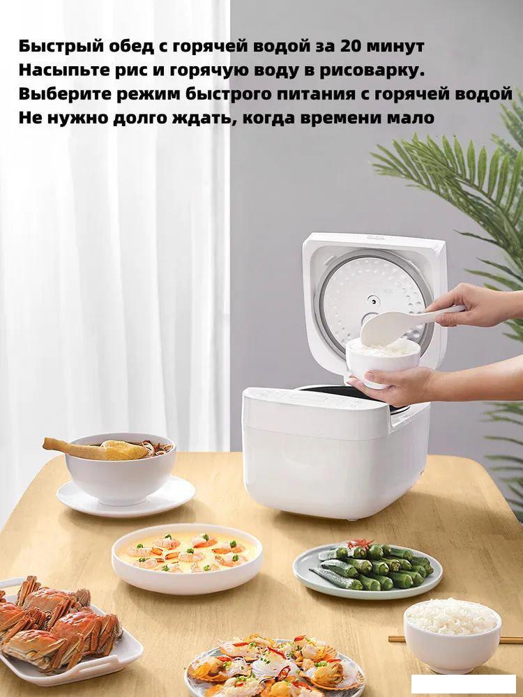 Мультиварка Xiaomi Mijia Rice Cooker C1 3L MDFBZ02ACM (с переходником на евровилку)