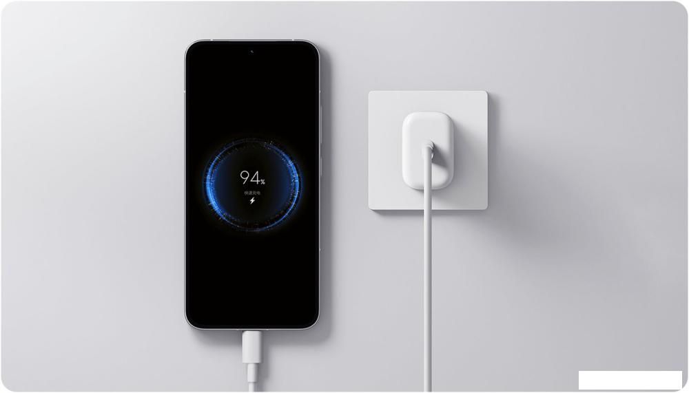 Сетевое зарядное Xiaomi 20W Fast Charging Power Adapter Type-C MDY-20-EG (международная версия)