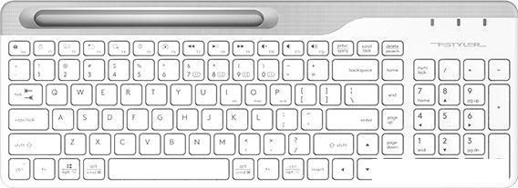 Клавиатура A4Tech Fstyler FBK25 (белый/серый)