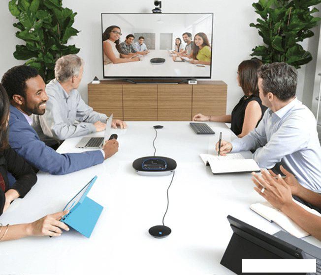 Комплект проводных микрофонов Logitech Group Expansion Microphones [989-000171]