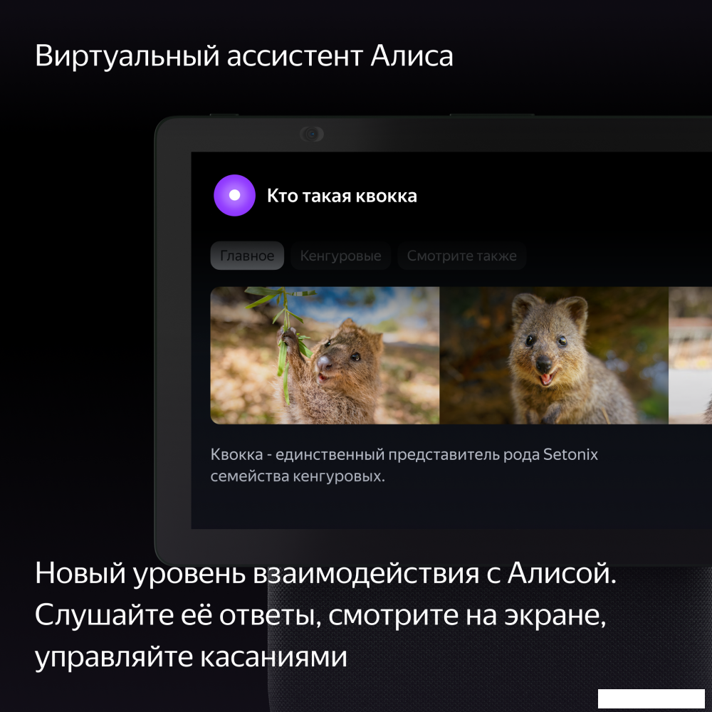 Колонка с умным дисплеем Яндекс Станция Дуо Макс (зеленый)