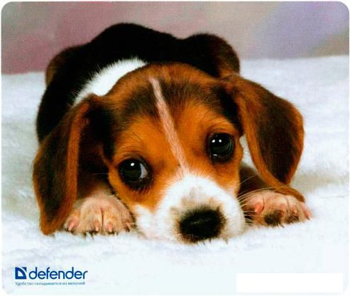Коврик для мыши Defender Silk (50706)