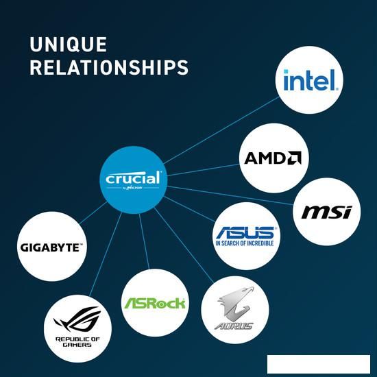 Оперативная память Crucial 32ГБ DDR5 5600 МГц CT32G56C46U5