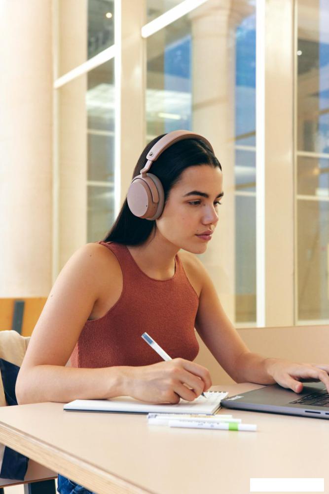 Наушники Sennheiser Accentum Wireless (коричневый/серый)