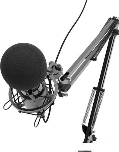 Проводной микрофон Ritmix RDM-180