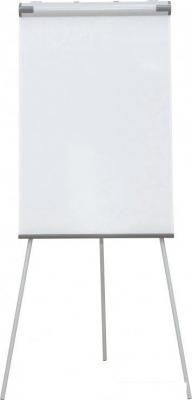 Флипчарт CACTUS CS-FCT-W67x105