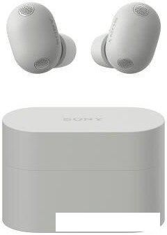 Наушники Sony WF-1000XM6 (серый)