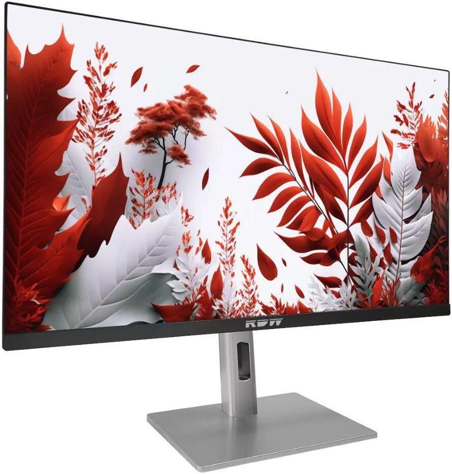 Монитор RDW Computers 2407K/F14В3120V2A1B