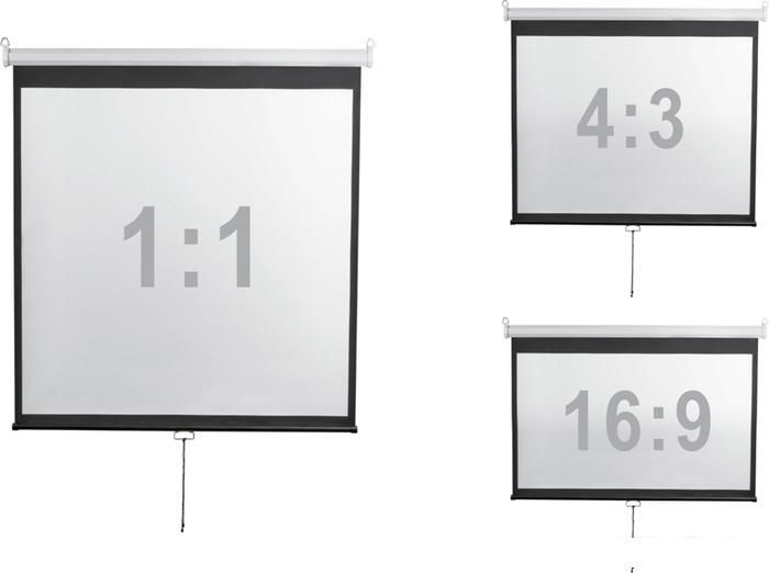 Проекционный экран Digis Optimal-D 308x229 DSOD-4306