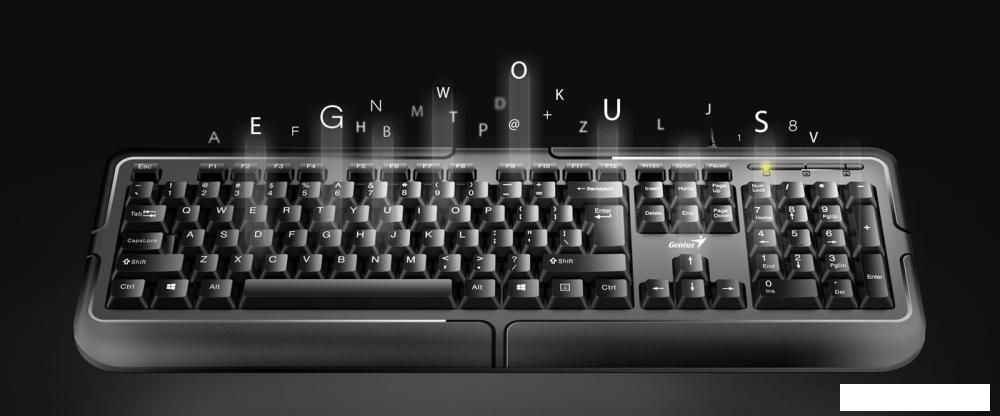 Клавиатура Genius KB-118