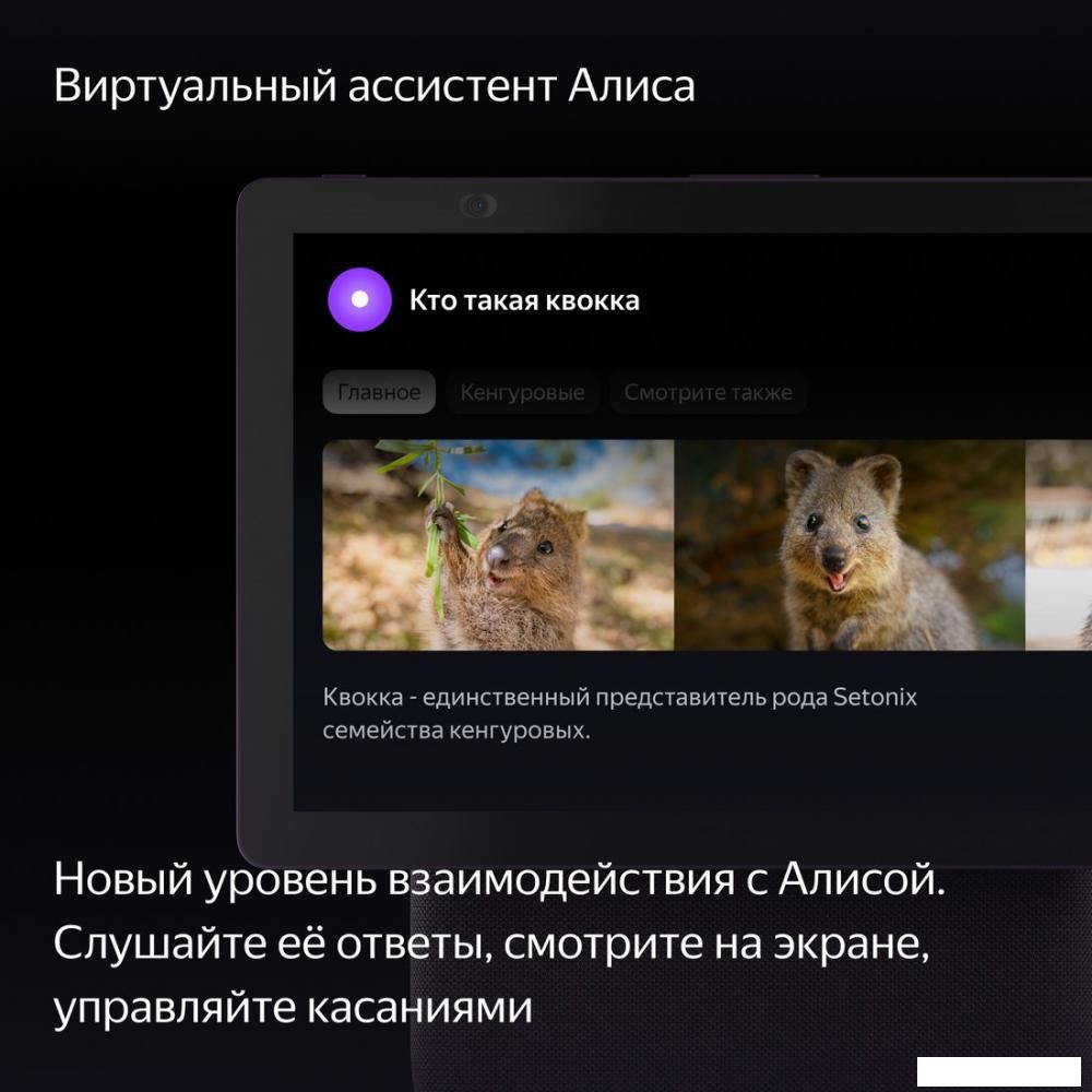Колонка с умным дисплеем Яндекс Станция Дуо Макс (красный)
